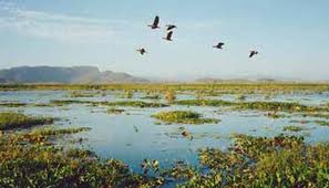 Re: Día Mundial de los Humedales